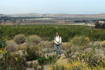 Grupo Mineralógico de Alicante. Cabezo Negro de Zeneta. Zeneta. Murcia  