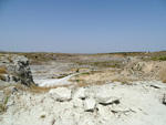 Grupo Mineralógico de Alicante. Cerro Cabezagorda, Cantera Torrique. Noblejas. Toledo  