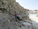 Grupo Mineralógico de Alicante.Cerro Cabezagorda, Cantera Torrique. Noblejas. Toledo  