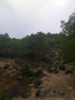 Grupo Mineralógico de Alicante.  Barranco del Piscalejo. Caravaca de la Cruz. Murcia  