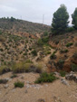 Grupo Mineralógico de Alicante.  Barranco del Piscalejo. Caravaca de la Cruz. Murcia  