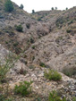 Grupo Mineralógico de Alicante. Barranco del Piscalejo. Caravaca de la Cruz. Murcia  