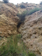 Grupo Mineralógico de Alicante. Barranco del Piscalejo. Caravaca de la Cruz. Murcia  