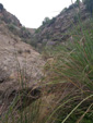 Grupo Mineralógico de Alicante.  Barranco del Piscalejo. Caravaca de la Cruz. Murcia  