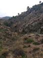 Grupo Mineralógico de Alicante.  Barranco del Piscalejo. Caravaca de la Cruz. Murcia  