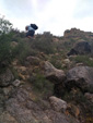 Grupo Mineralógico de Alicante. Barranco del Piscalejo. Caravaca de la Cruz. Murcia 