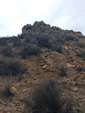 Grupo Mineralógico de Alicante. Barranco del Piscalejo. Caravaca de la Cruz. Murcia 