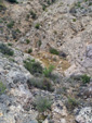 Grupo Mineralógico de Alicante.  Barranco del Piscalejo. Caravaca de la Cruz. Murcia 