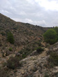 Grupo Mineralógico de Alicante.  Barranco del Piscalejo. Caravaca de la Cruz. Murcia 