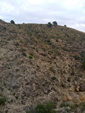 Grupo Mineralógico de Alicante.  Barranco del Piscalejo. Caravaca de la Cruz. Murcia 