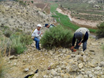 Grupo Mineralógico de Alicante. Ulea.  Murcia  