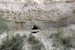 Grupo Mineralógico de Alicante.Valle de Ricote.   Murcia 