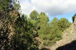 Grupo Mineralógico de Alicante. Explotación de ofitas en la Sierra de Oltra. Calpe.  Alicante   