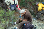 Grupo Mineralógico de Alicante. Explotación de ofitas en la Sierra de Oltra. Calpe.  Alicante   