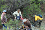 Grupo Mineralógico de Alicante.Explotación de ofitas en la Sierra de Oltra. Calpe.  Alicante   