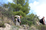 Grupo Mineralógico de Alicante. Explotación de ofitas en la Sierra de Oltra. Calpe.  Alicante   