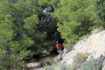 Grupo Mineralógico de Alicante. Explotación de ofitas en la Sierra de Oltra. Calpe.  Alicante  