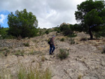 Grupo Mineralógico de Alicante. Explotación de ofitas en la Sierra de Oltra. Calpe.  Alicante  