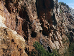 Grupo Mineralógico de Alicante.Minas  de la Molatica. Sege. Albacete 