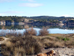 Grupo Mineralógico de Alicante. Embalse de Camarillas. Agramón. Albacete   