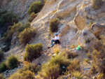 Grupo Mineralógico de Alicante.Yacimiento de Celestina. Ulea. Murcia  