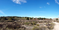 Grupo Mineralógico de Alicante. Embalse de Camarillas. Agramón. Albacete   