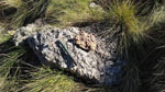 Grupo Mineralógico de Alicante. Keuper de Minglanilla y La Pesquera. Cuenca   