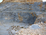 Grupo Mineralógico de Alicante.Cantera Casablanca. Lloma Alta, Les Boqueres, San Vicente del Raspeig, Alicante  