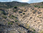 Grupo Mineralógico de Alicante. LAS MINAS DE OCRE DE MUCHAMIEL Y SAN VICENTE   