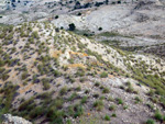 Grupo Mineralógico de Alicante.  Ópalo con Dendritas.LAS MINAS DE OCRE DE MUCHAMIEL Y SAN VICENTE  