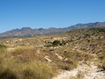 Grupo Mineralógico de Alicante. Terrers dels Pobres, Lomas de la Beata.  Agost. Alicante   