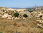 Grupo Mineralógico de Alicante. Terrers dels Pobres, Lomas de la Beata.  Agost. Alicante   