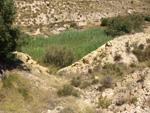 Grupo Mineralógico de Alicante. Terrers dels Pobres, Lomas de la Beata.  Agost. Alicante   