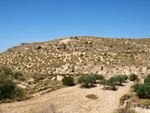 Grupo Mineralógico de Alicante. Terrers dels Pobres, Lomas de la Beata.  Agost. Alicante   