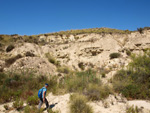 Grupo Mineralógico de Alicante. Terrers dels Pobres, Lomas de la Beata.  Agost. Alicante   