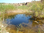 Grupo Mineralógico de Alicante. Terrers dels Pobres, Lomas de la Beata.  Agost. Alicante   