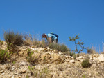 Grupo Mineralógico de Alicante. Terrers dels Pobres, Lomas de la Beata.  Agost. Alicante   