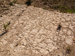 Grupo Mineralógico de Alicante.Terrers dels Pobres, Lomas de la Beata.  Agost. Alicante   