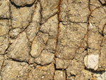 Grupo Mineralógico de Alicante.Terrers dels Pobres, Lomas de la Beata.  Agost. Alicante   