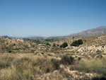 Grupo Mineralógico de Alicante.Terrers dels Pobres, Lomas de la Beata.  Agost. Alicante  