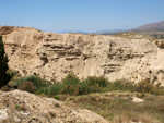 Grupo Mineralógico de Alicante.  Terrers dels Pobres, Lomas de la Beata.  Agost. Alicante  