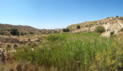 Grupo Mineralógico de Alicante. Terrers dels Pobres, Lomas de la Beata.  Agost. Alicante   