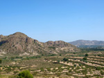 Grupo Mineralógico de Alicante. Cabezo Negro. Zeneta. Murcia  