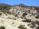 Grupo Mineralógico de Alicante. Cabezo Negro. Zeneta. Murcia  