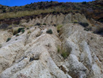 Grupo Mineralógico de Alicante. Las Atalayas. Alicante  