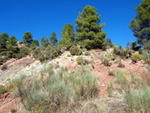 Grupo Mineralógico de Alicante. La Escarabehuela. Enguidanos. Cuenca  