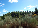 Grupo Mineralógico de Alicante. La Escarabehuela. Enguidanos. Cuenca  