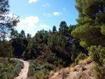 Grupo Mineralógico de Alicante. La Escarabehuela. Enguidanos. Cuenca  