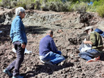 Grupo Mineralógico de Alicante. La Escarabehuela. Enguidanos. Cuenca  