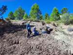 Grupo Mineralógico de Alicante. La Escarabehuela. Enguidanos. Cuenca  